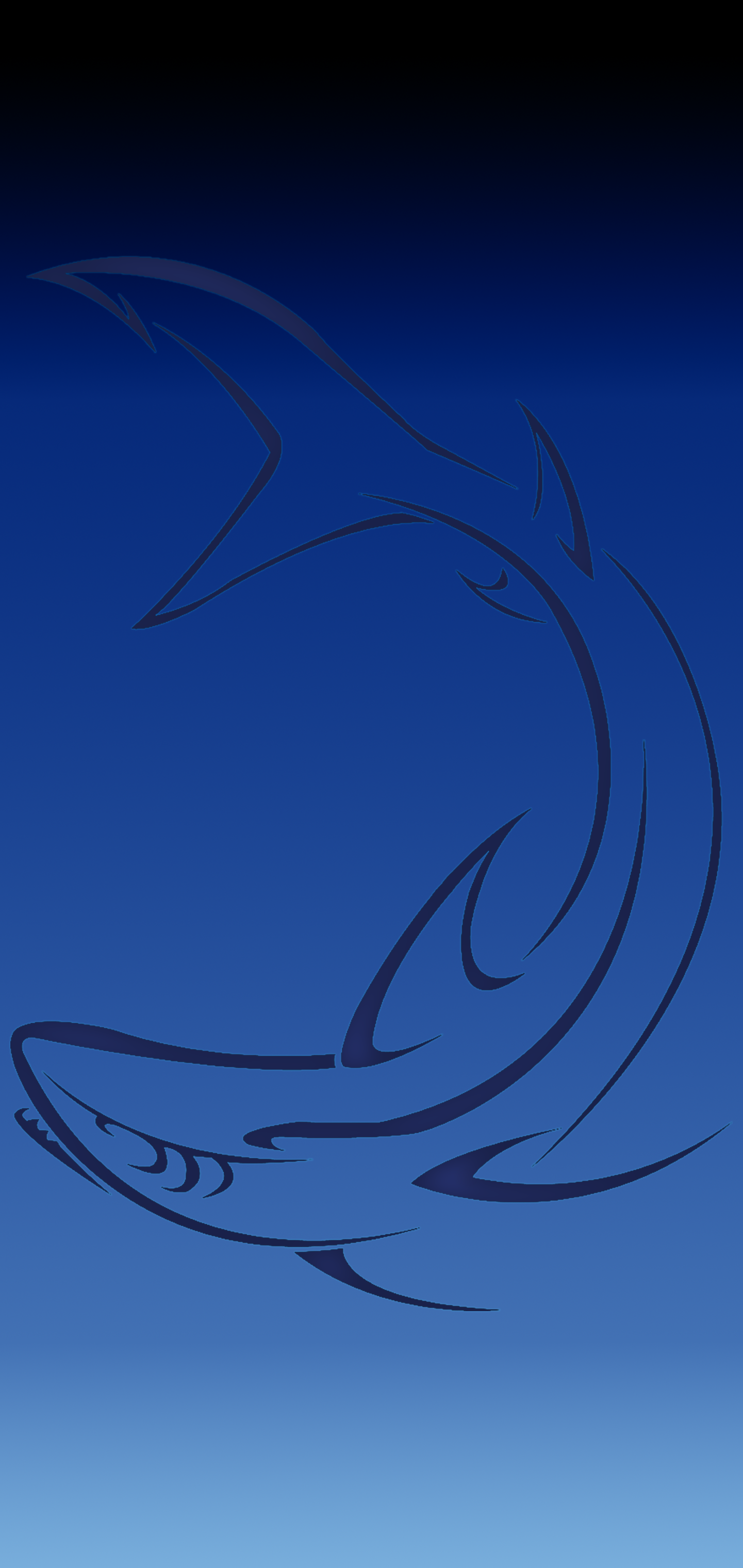 Blue Black Shark2