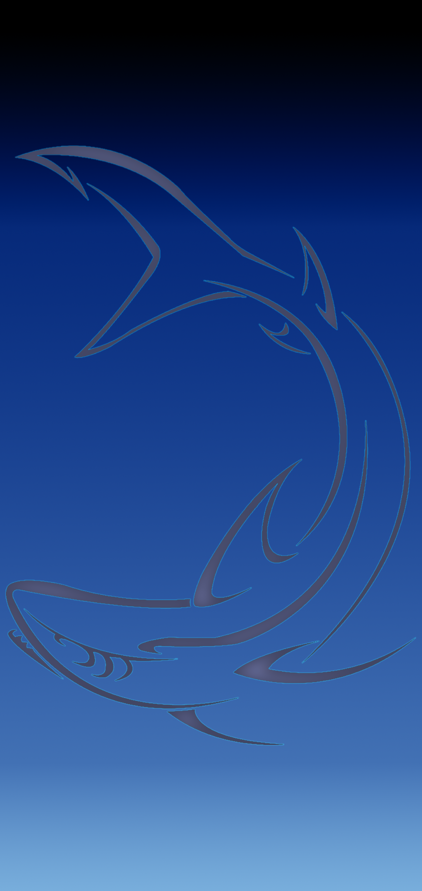 Blue Black Shark3