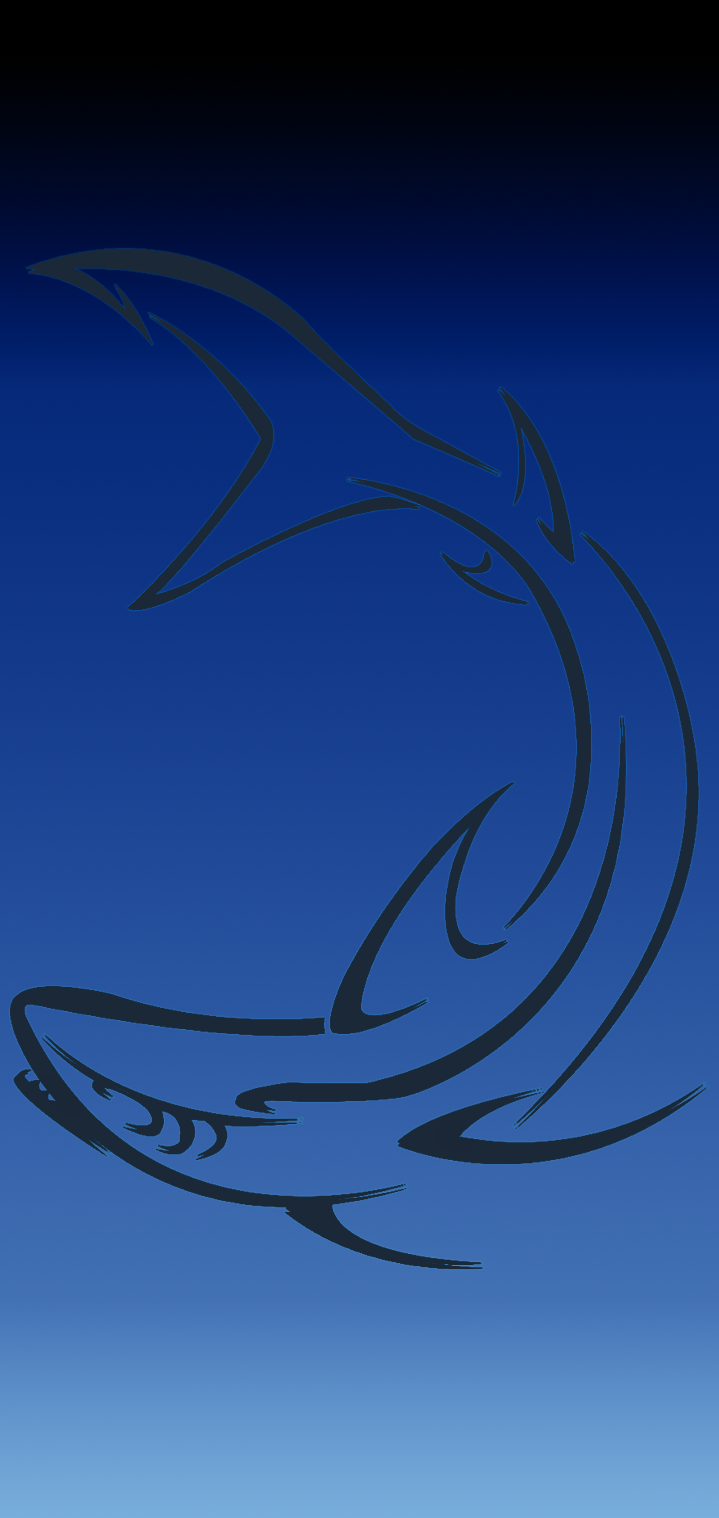 Blue Black Shark4