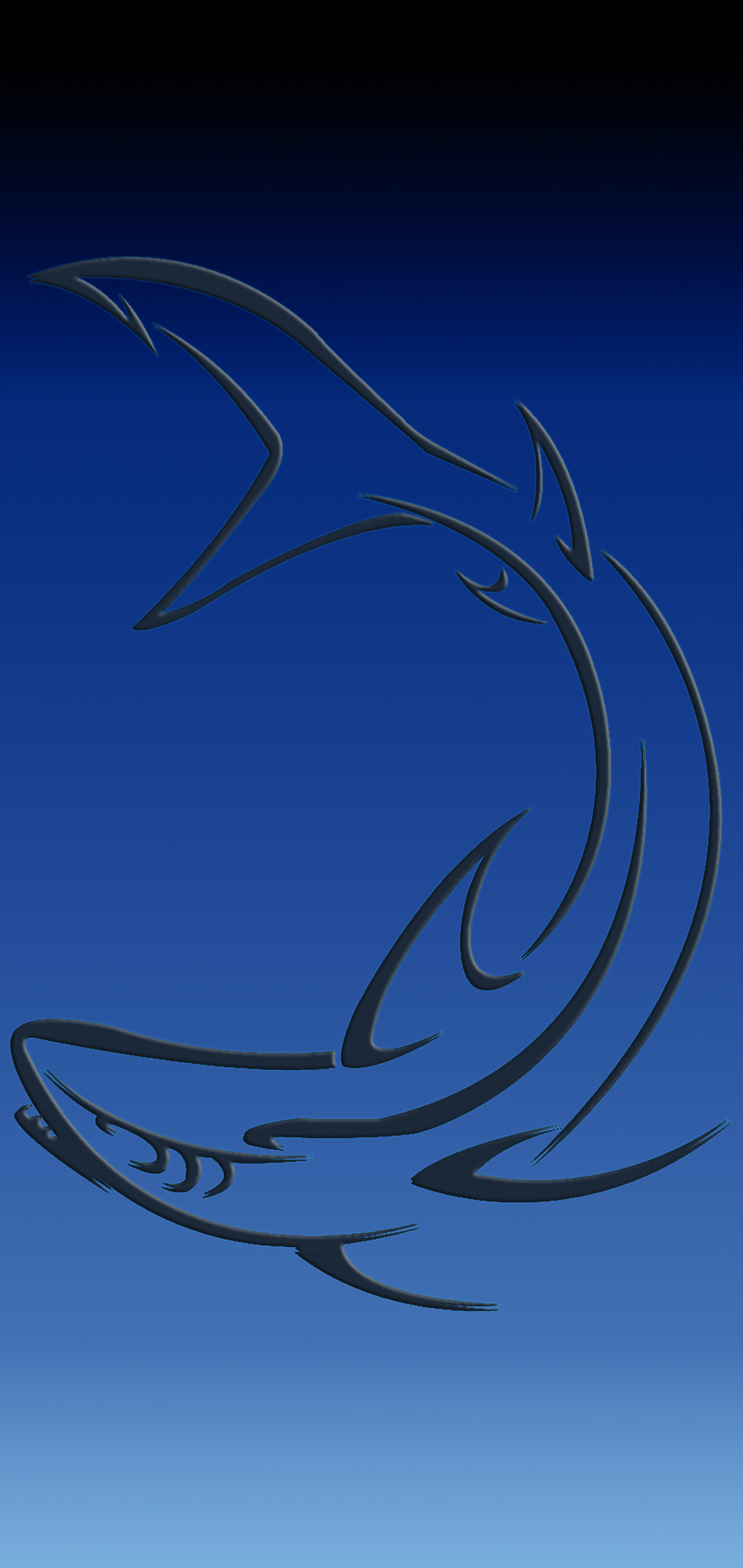 Blue Black Shark5