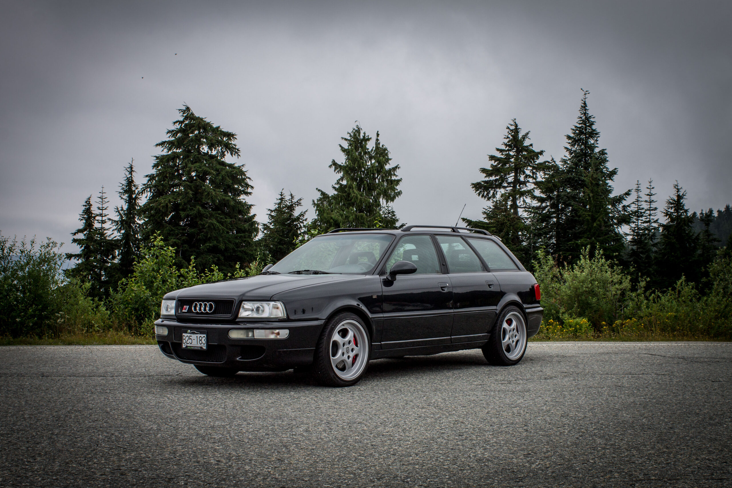Audi Rs2 Avant (8c) (2)