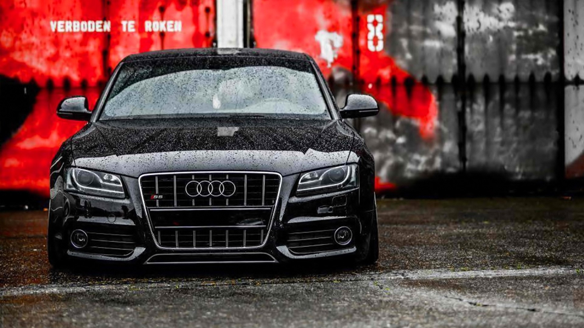 Audi S5 Sportback (8t)