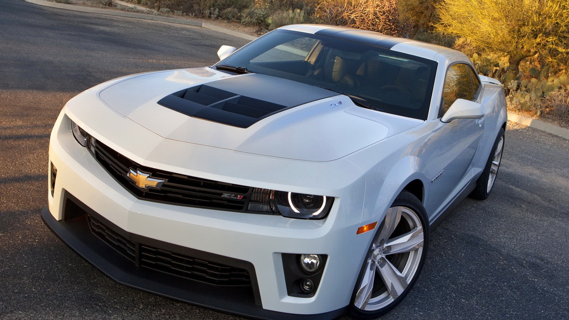 Chevrolet Camaro Zl1 (gen 5) (1)
