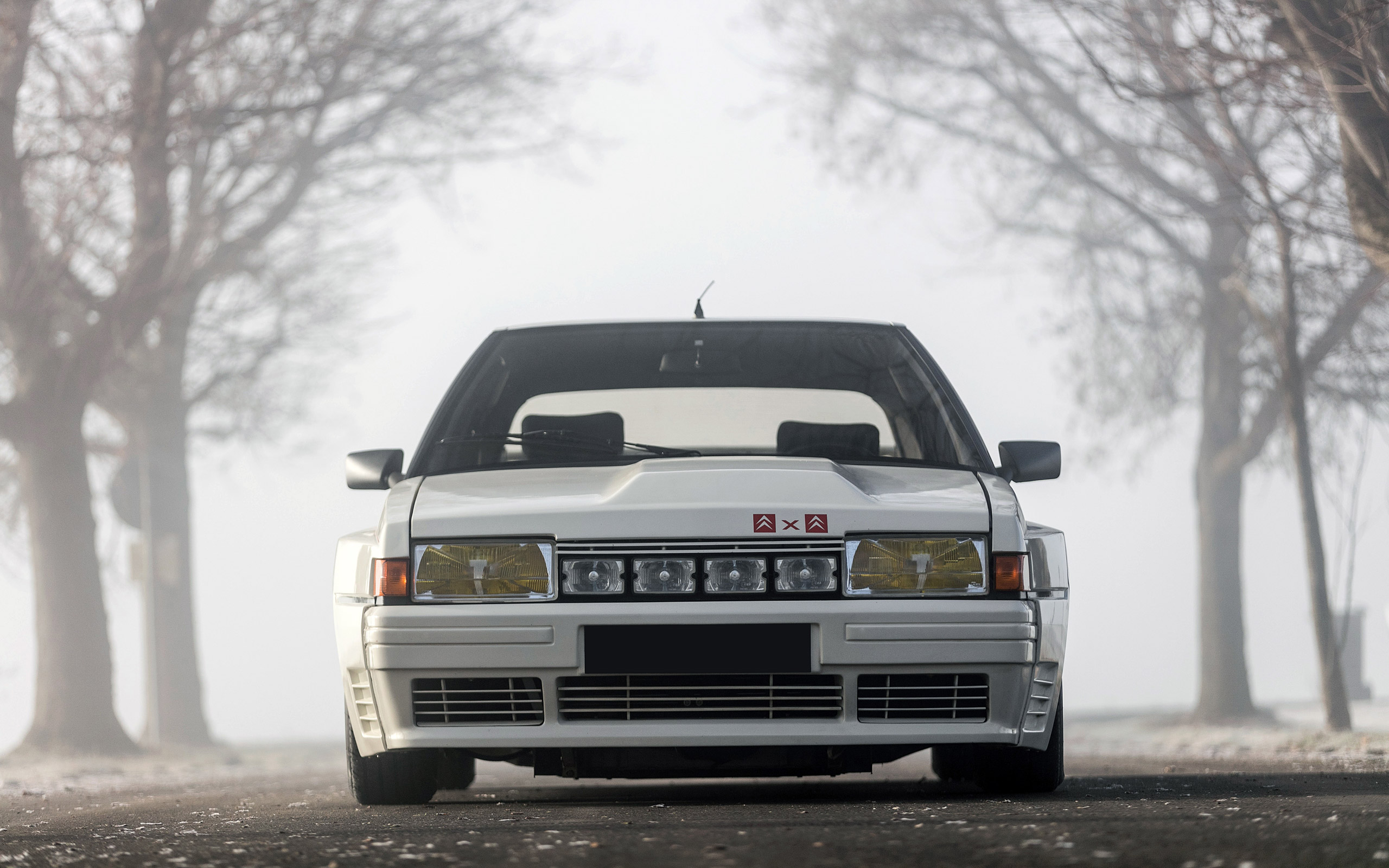 Citroën Bx 4tc 1985 (2)