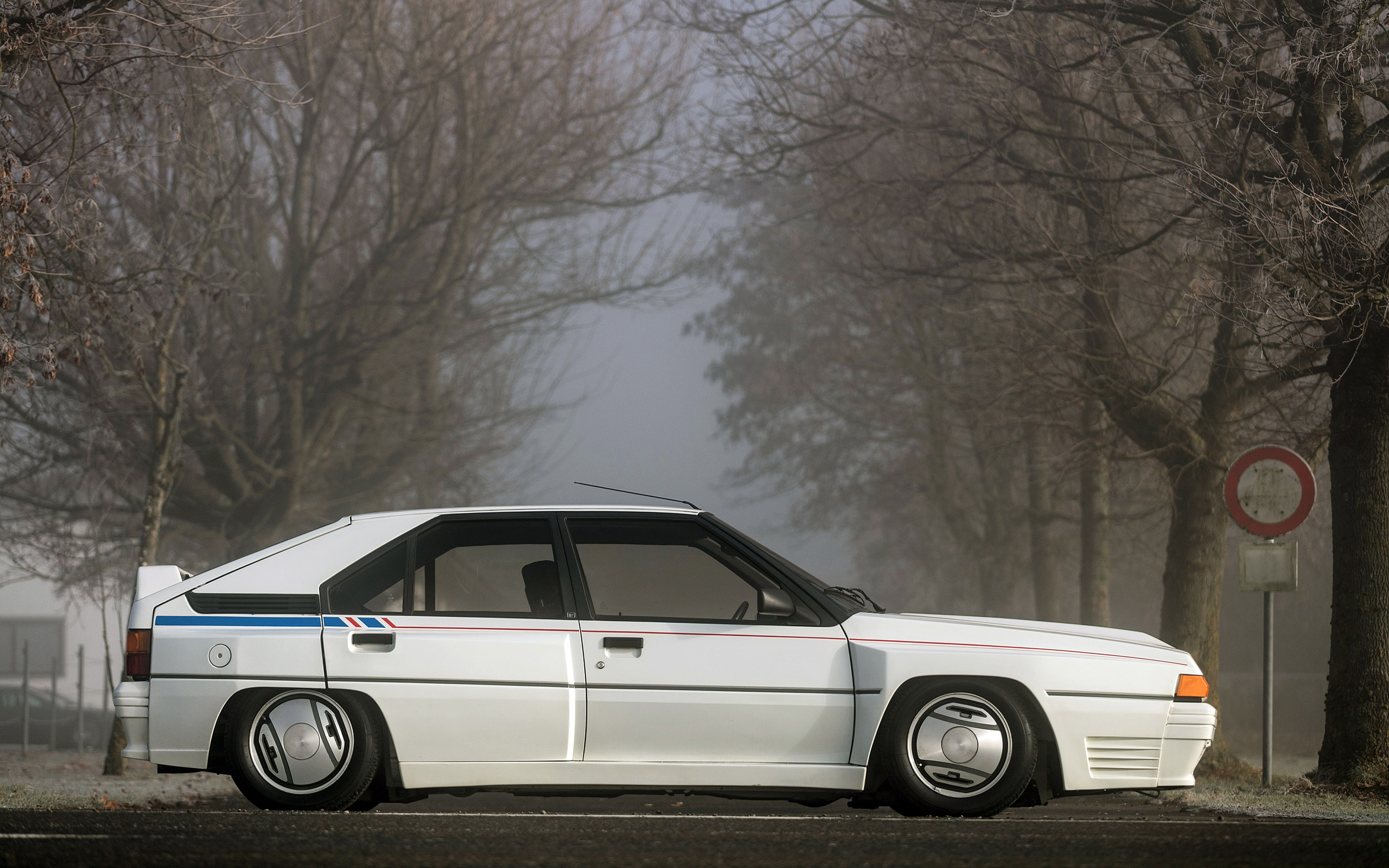 Citroën Bx 4tc 1985 (4)