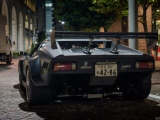 Detomaso Pantera (8)