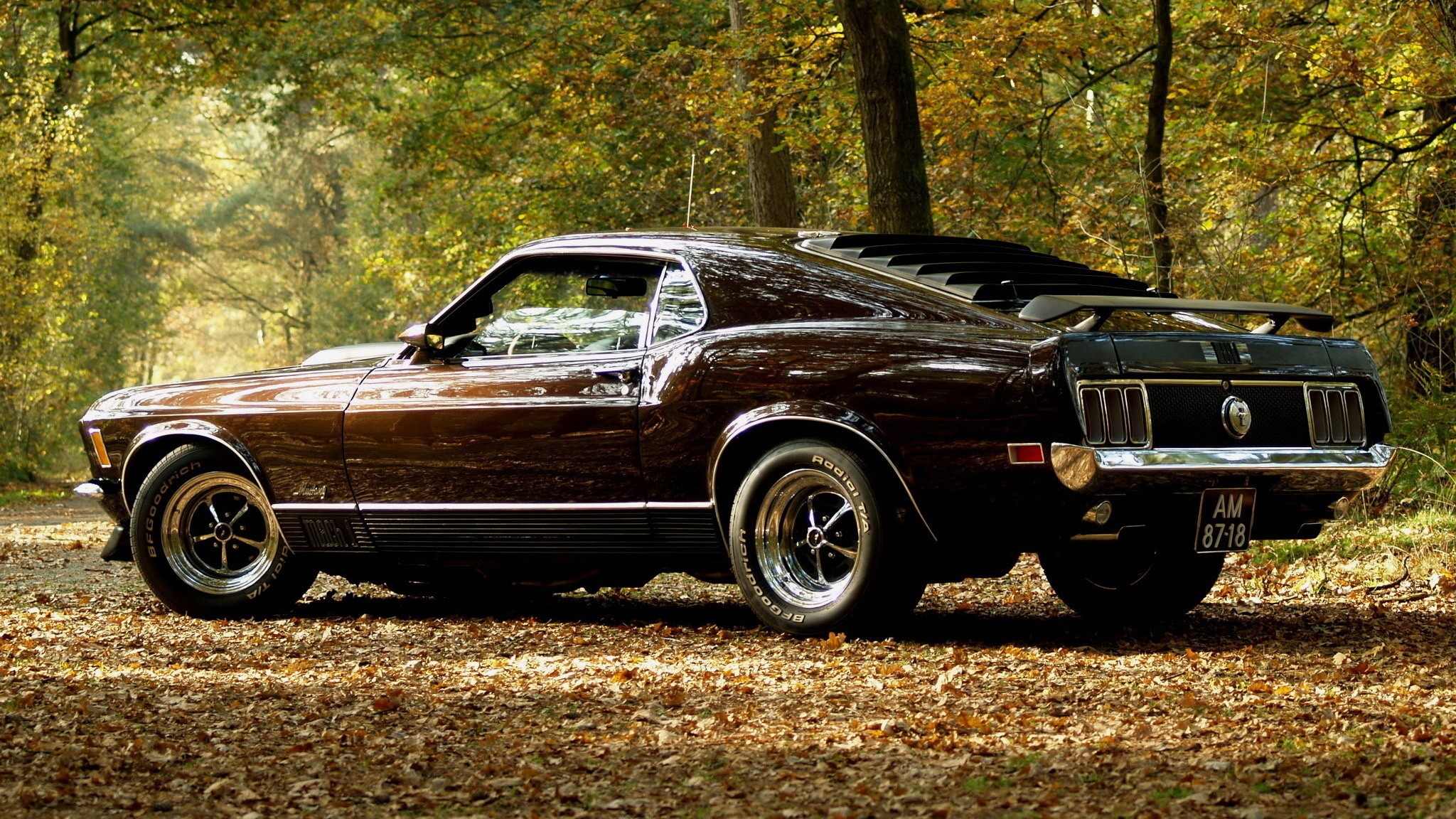 Ford Mustang Mach 1(gen 1) 1970