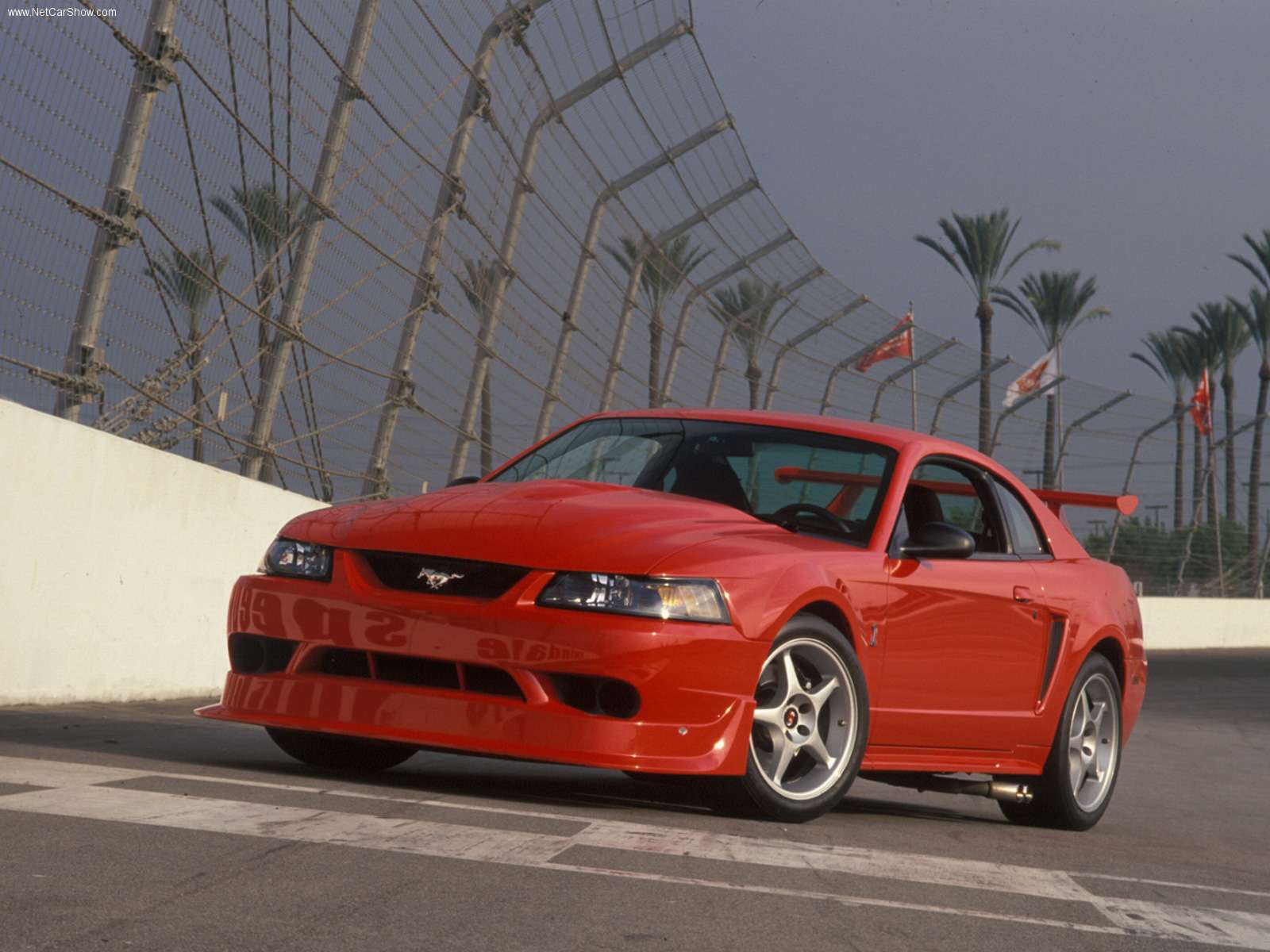 Ford Mustang Svt Cobra R (sn 95 2)