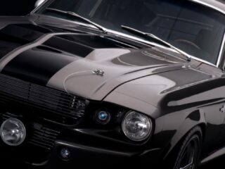 Created By Photowatermark Professional