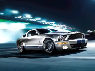 Ford Shelby Mustang Gt500kr (s 197 I)