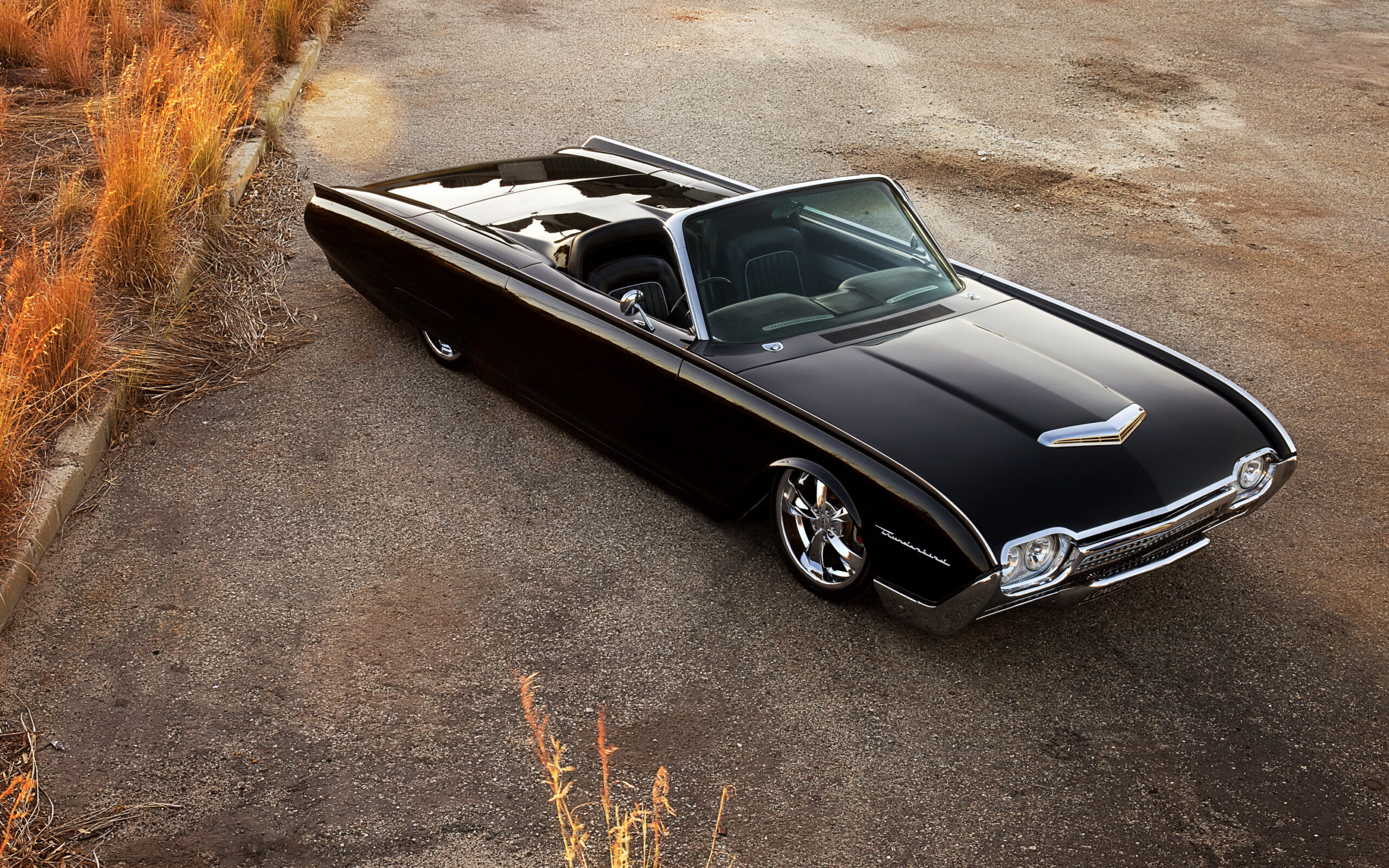 Ford Thunderbird (gen 3) (2)