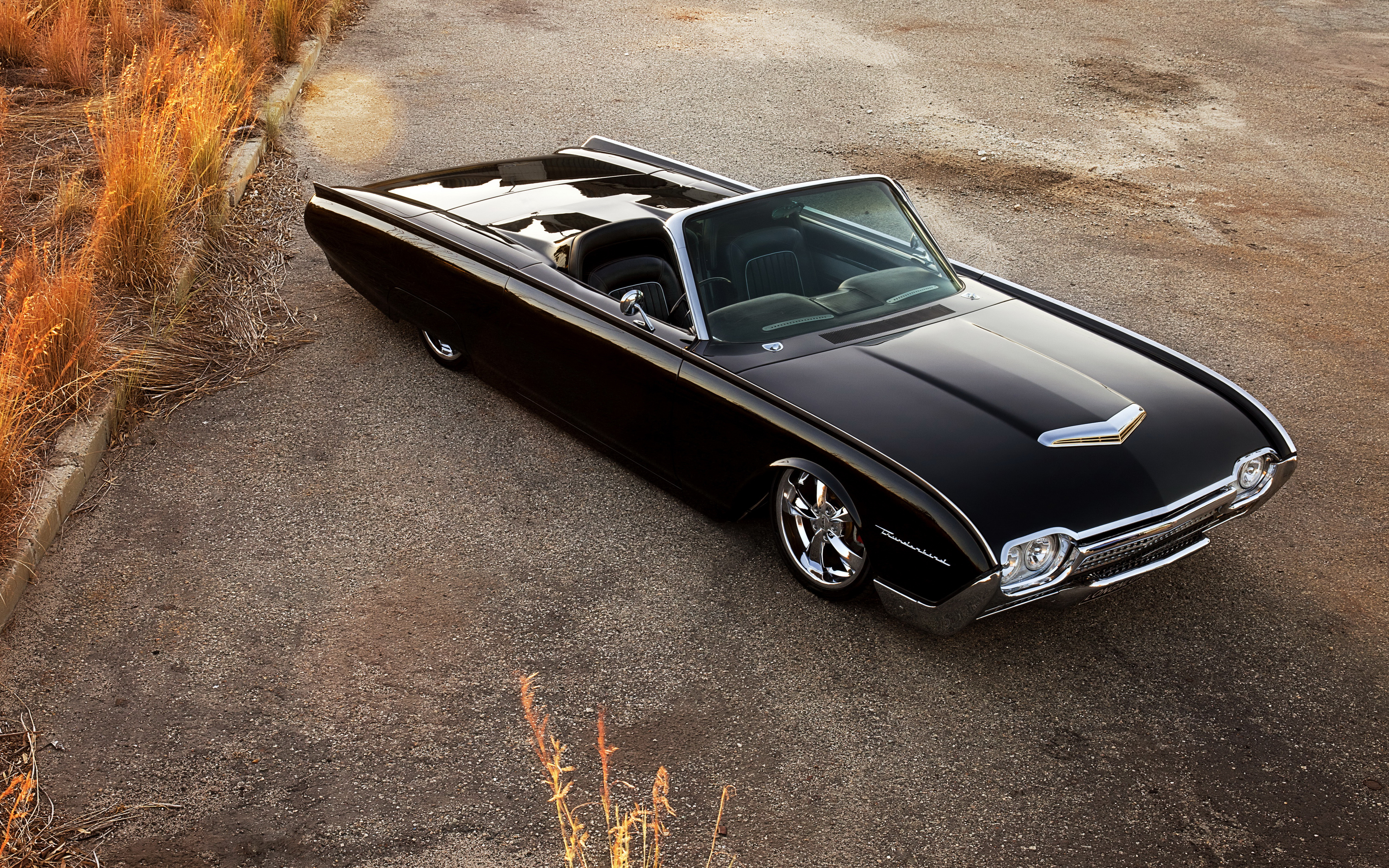 Ford Thunderbird (gen 3) (2)