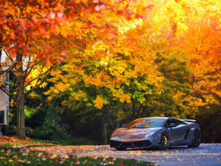 Lamborghini Gallardo Lp 570 4 Superleggera (2)
