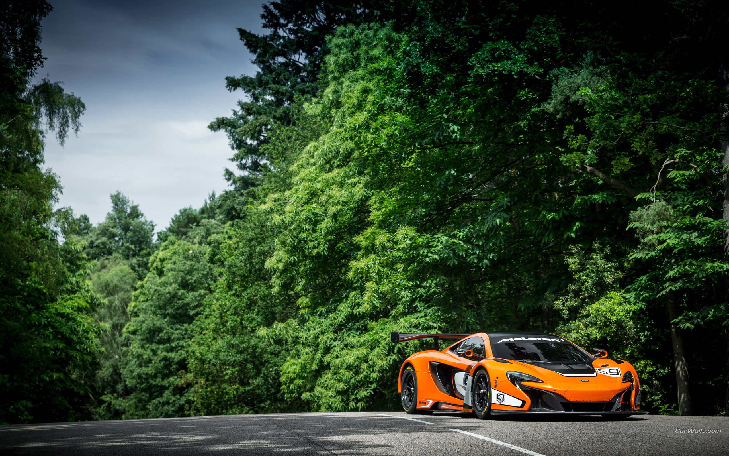 Mclaren 650s Gt3