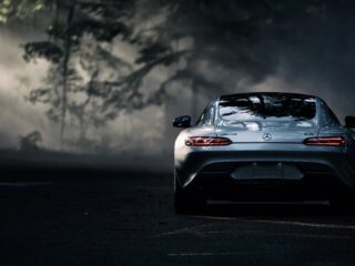 Mercedes Amg Gt (c190) (2)