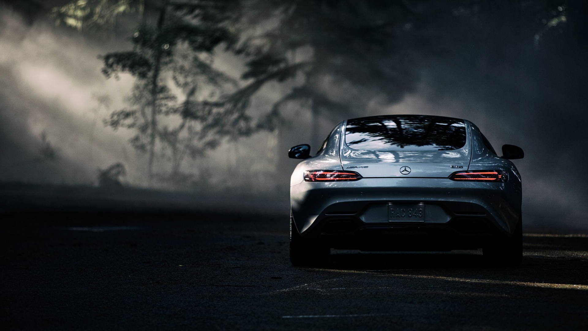 Mercedes Amg Gt (c190) (2)