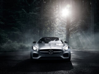 Mercedes Amg Gt (c190) (3)