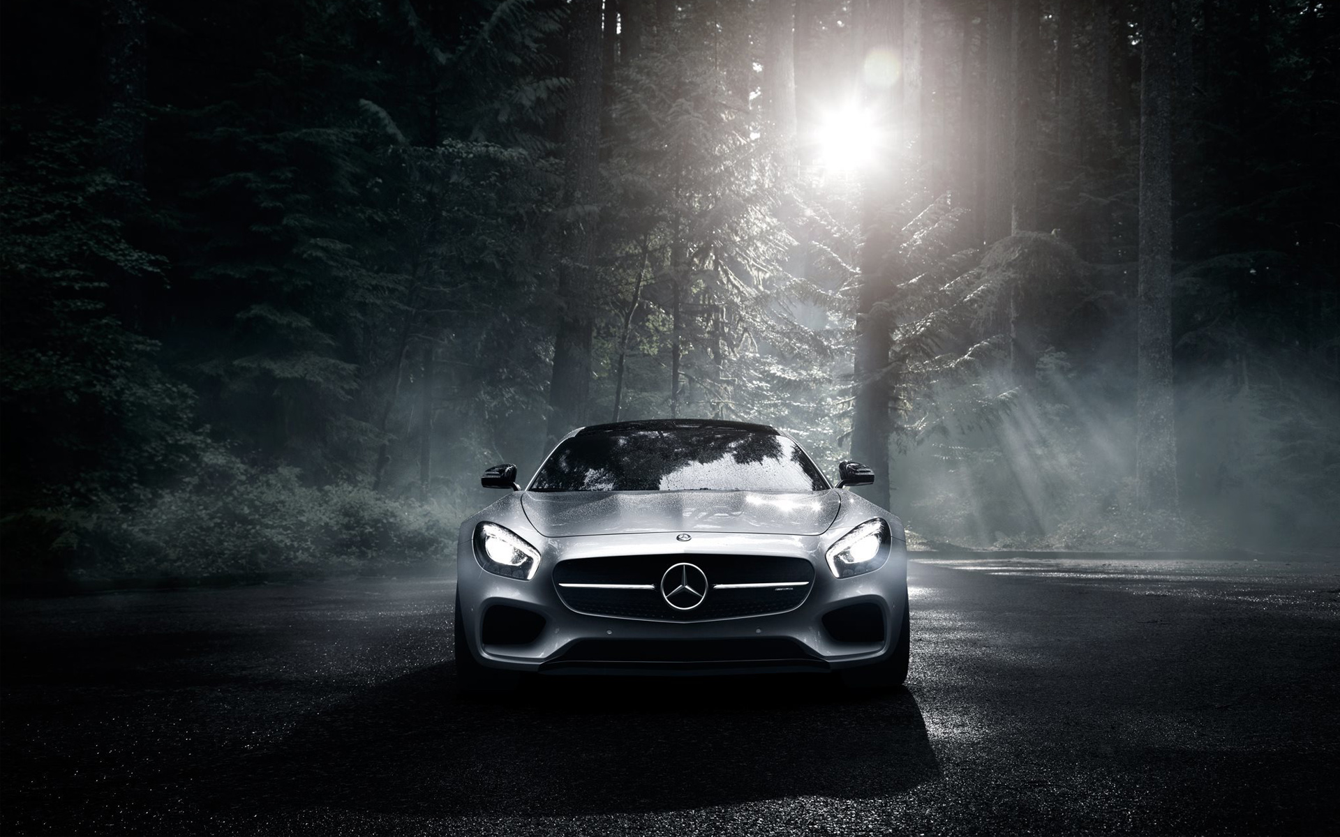 Mercedes Amg Gt (c190) (3)