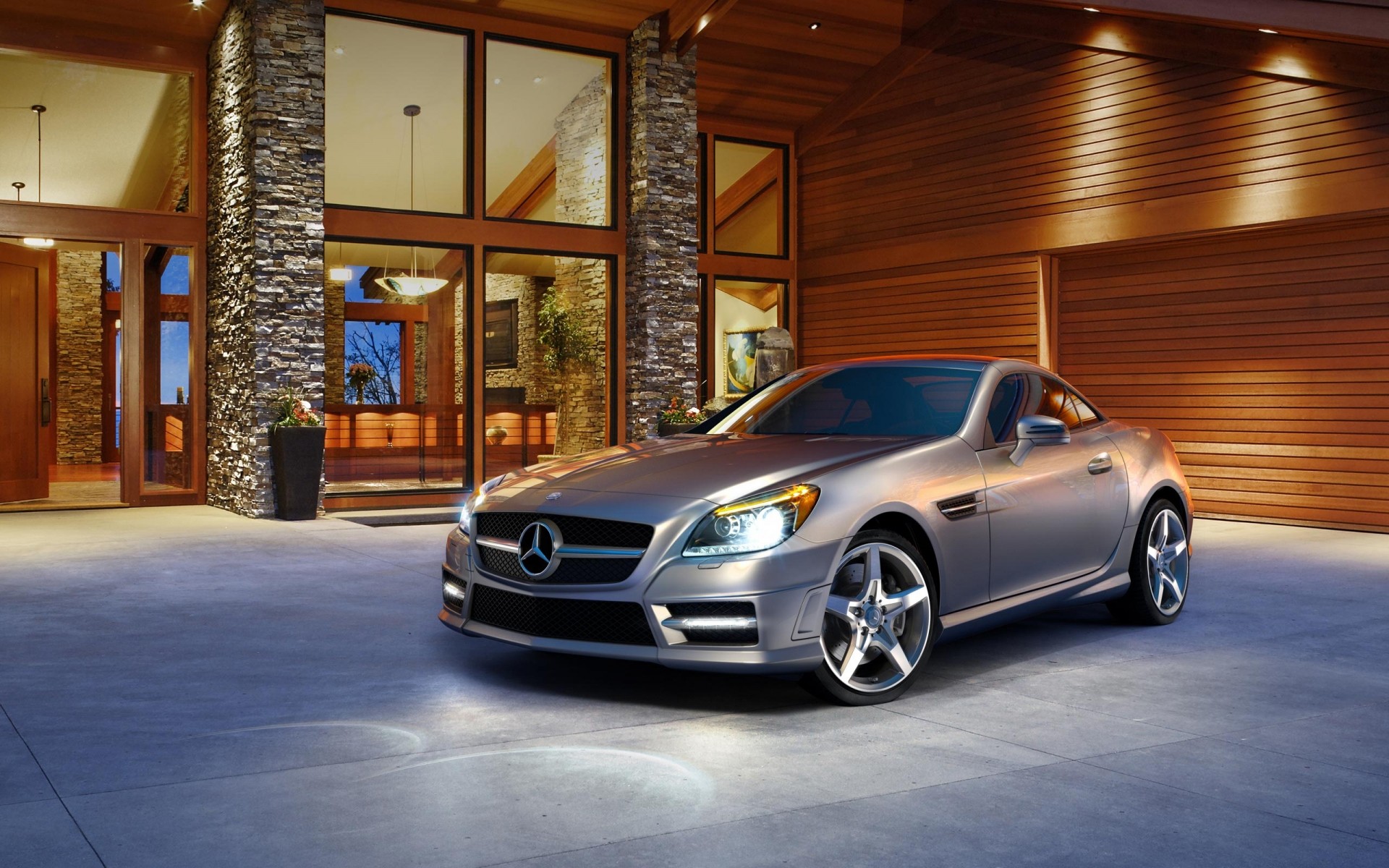 Mercedes Benz Slk 250 (r172)