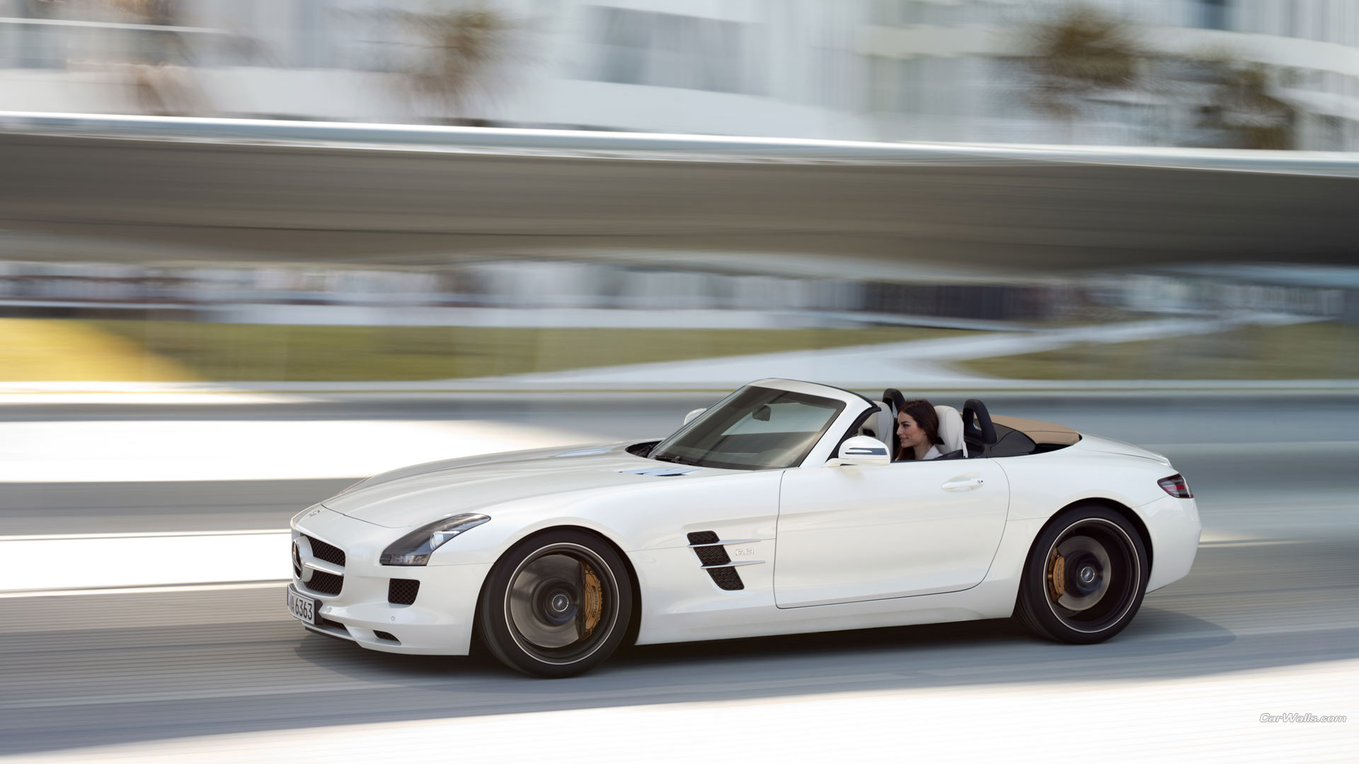 Mercedes Benz Sls Amg Roadster