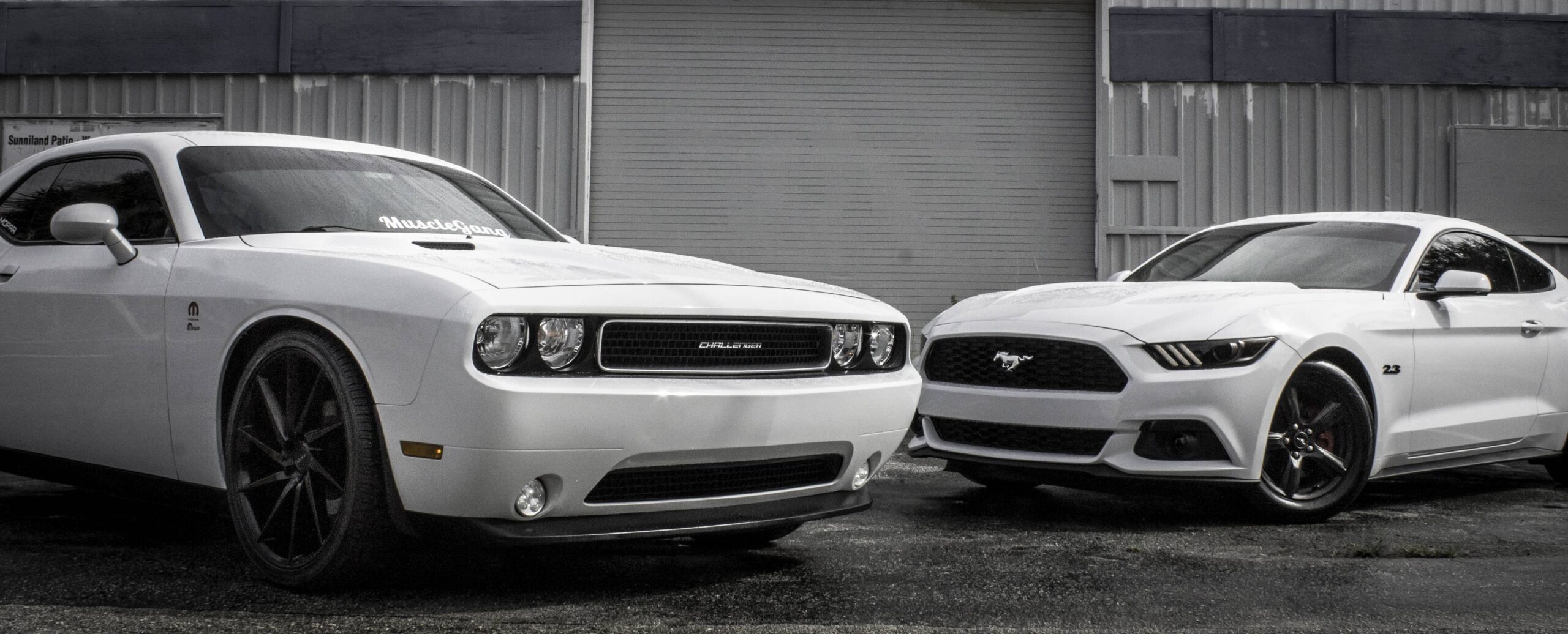 Multi American Muscle