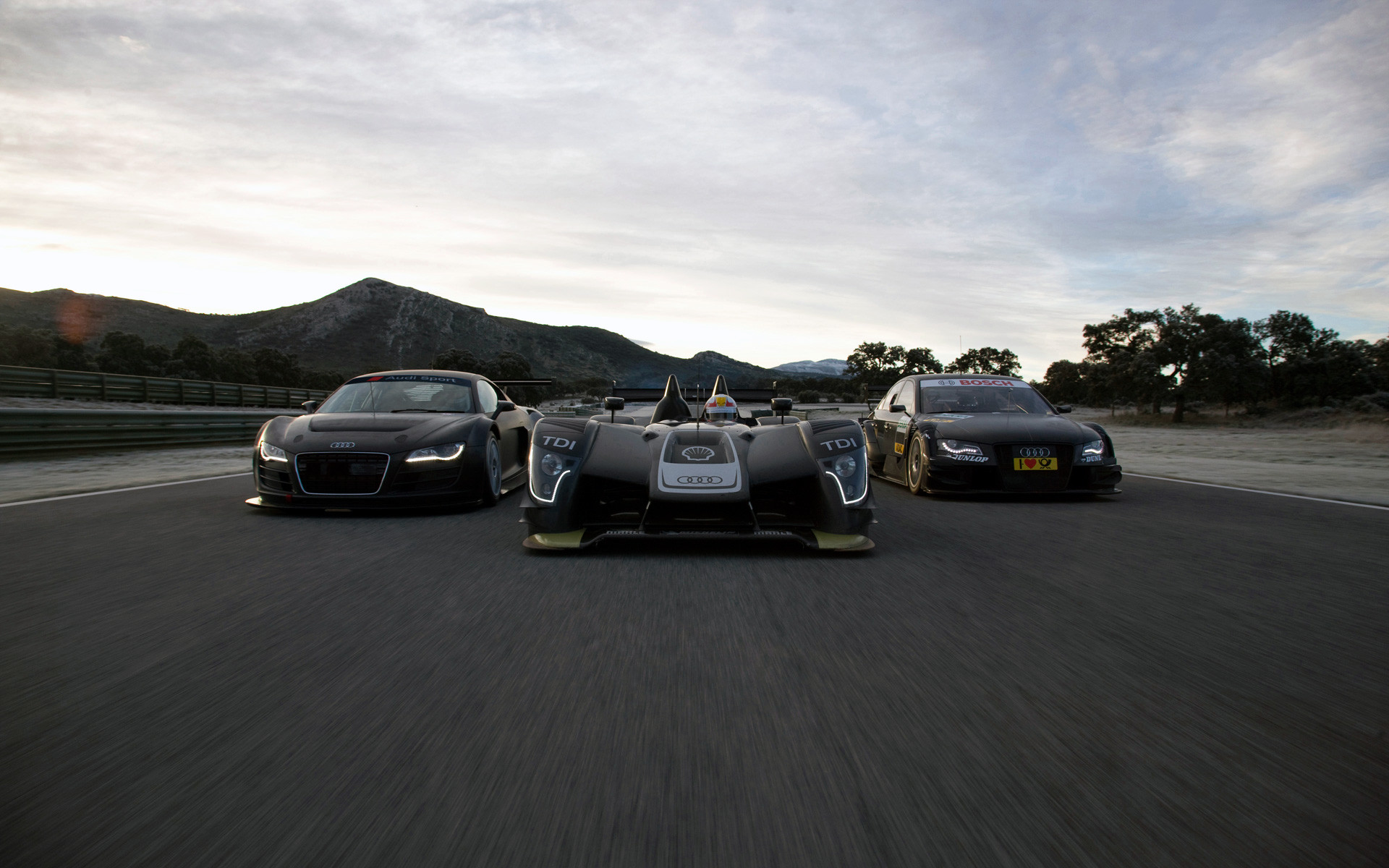 Multi Audi (2)