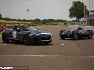 Multi Jaguars