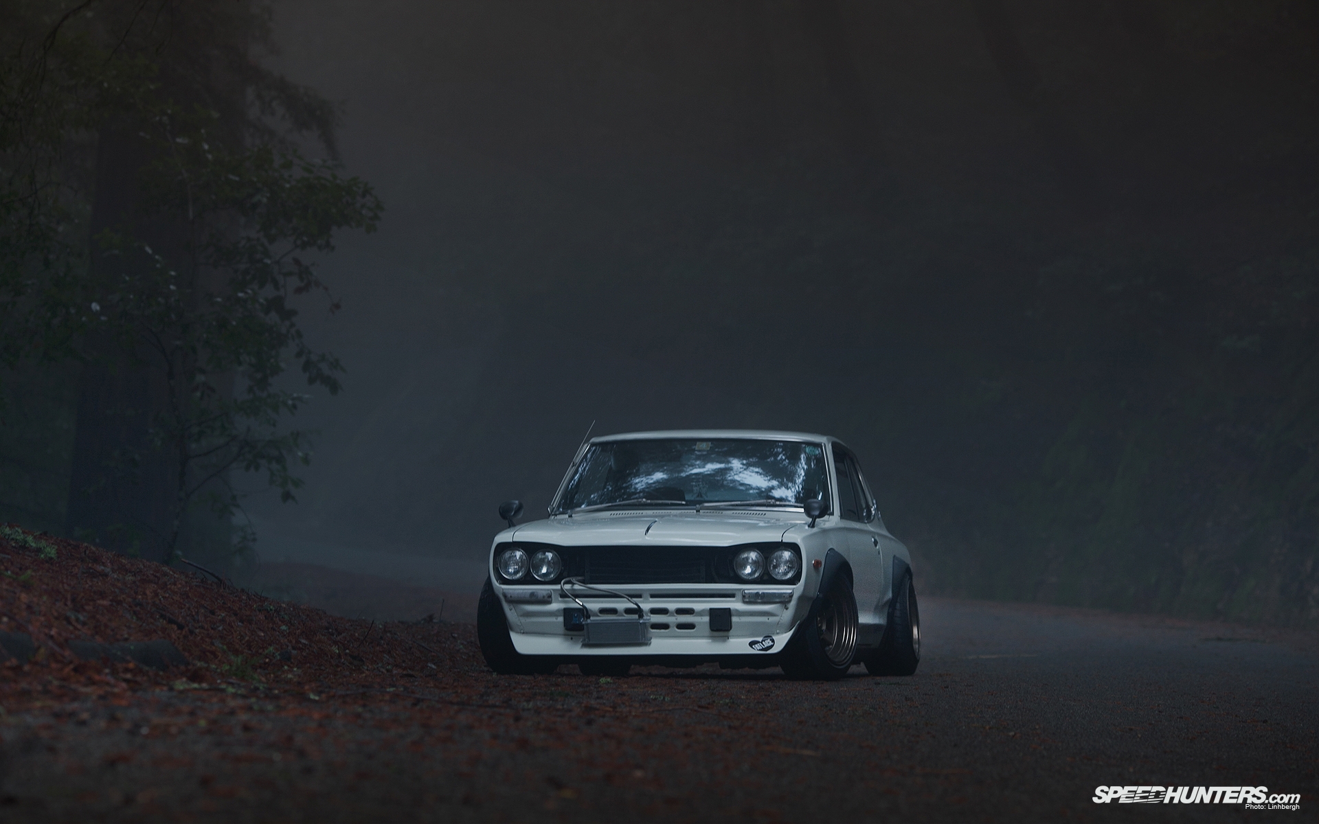 Nissan Skyline 2000 Gt R (kpgc10) (2)