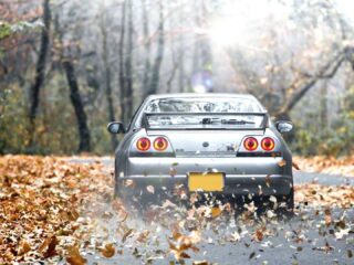 Nissan Skyline Gt R (bnr33)