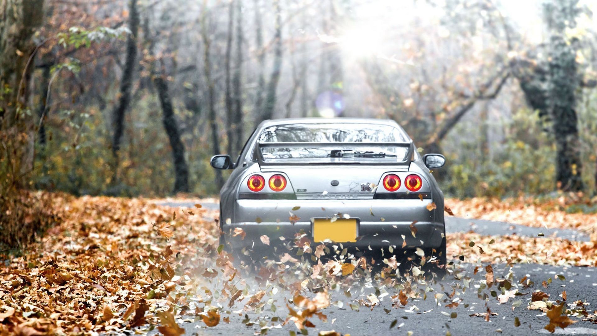 Nissan Skyline Gt R (bnr33)