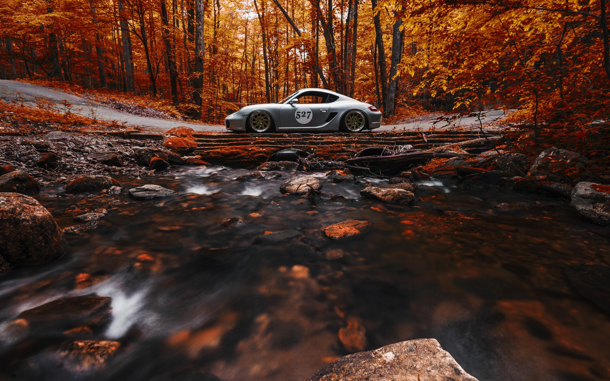 Porsche Cayman S (987)