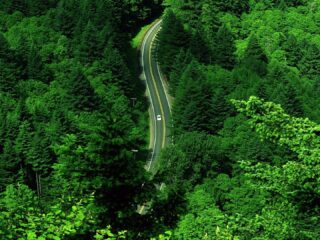 Road Green