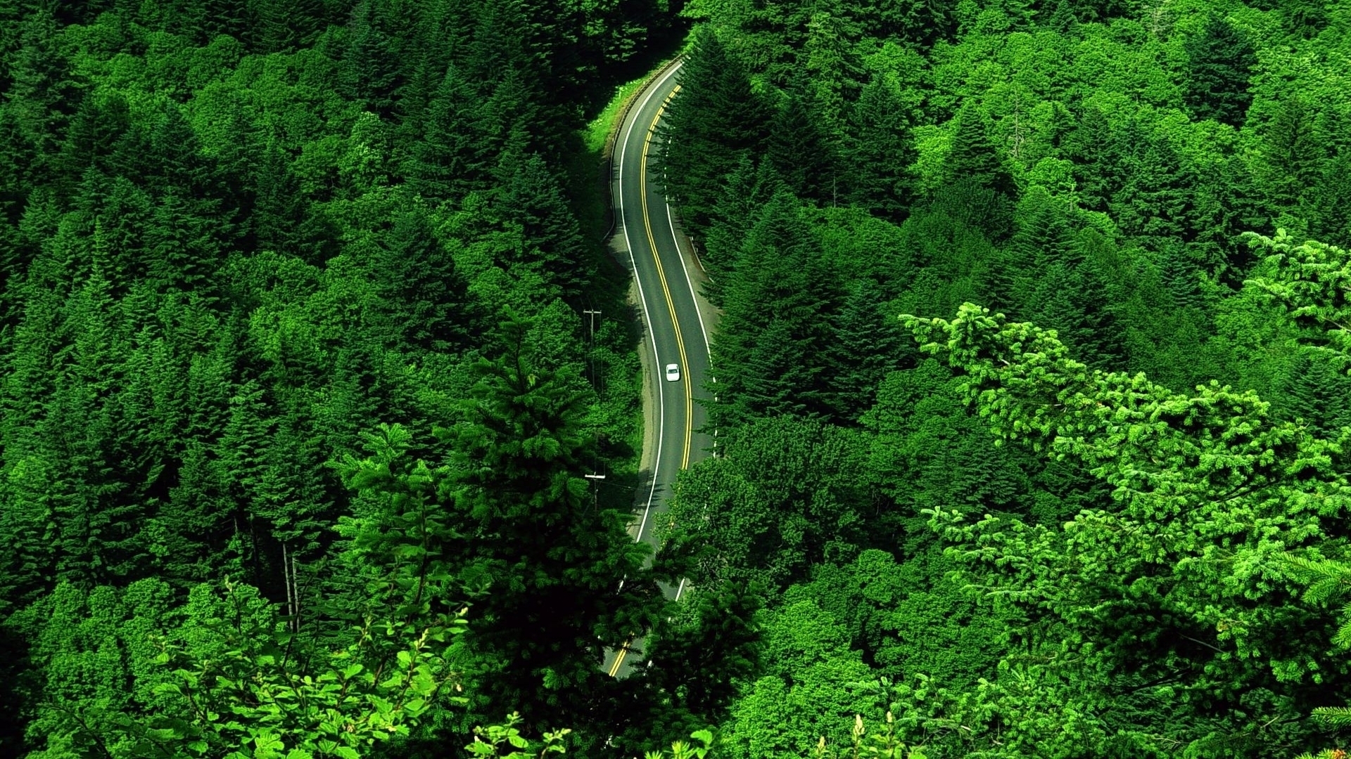 Road Green