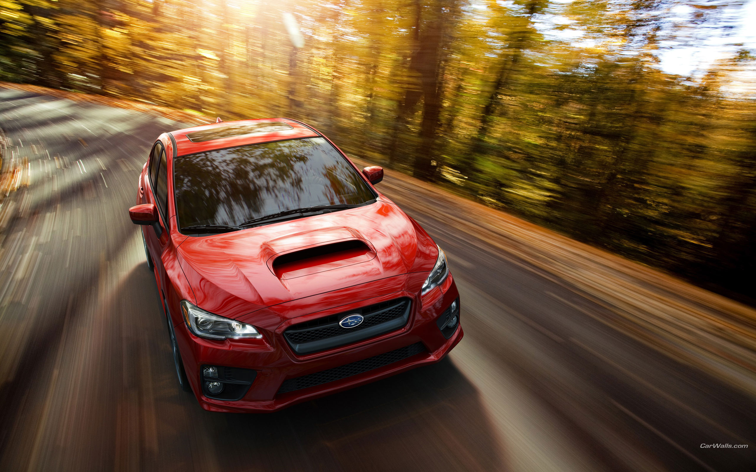 Subaru Wrx (va) (1)