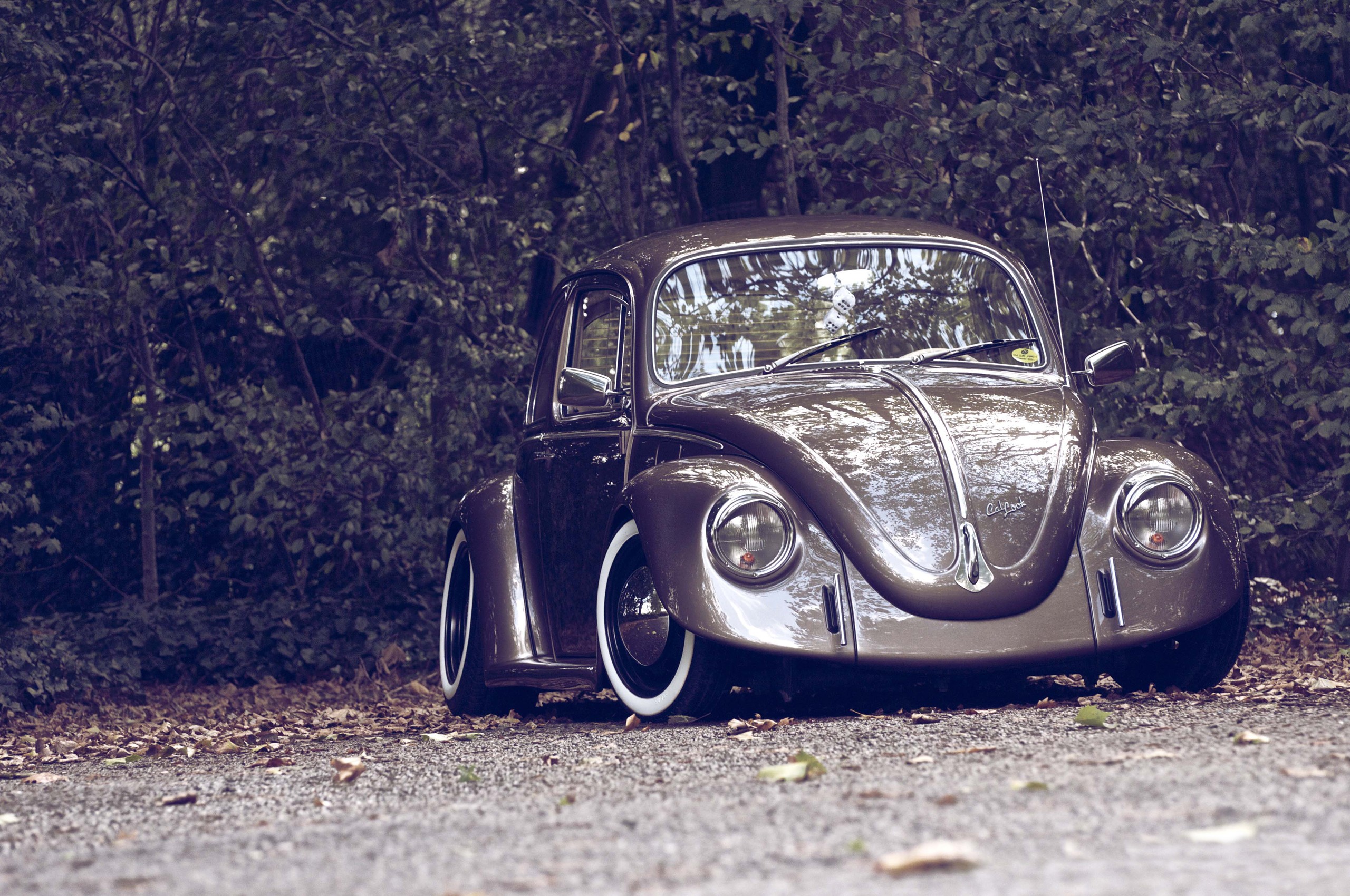 Volkswagen Beetle Type1