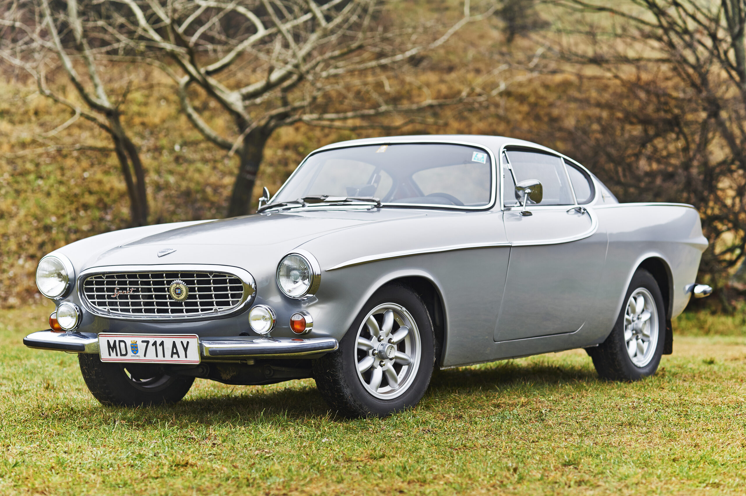 Volvo P 1800 Es